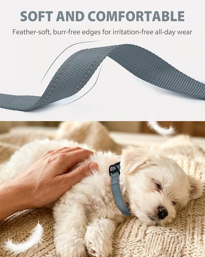 Joytale Small Dog Collar, Durable Double-Sided Reflective Nylon Collar for Night Safety, Adjustable Quick-Release for Active Breeds, Gray, S (3/4" Width)