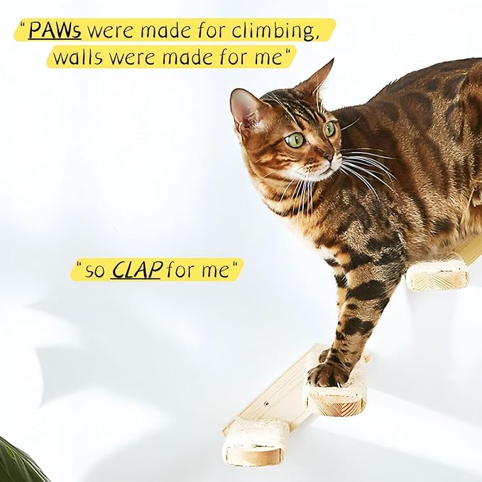 Wall-Mounted Cat Stairs Set of 2, 2-Step Pine Wood Cat Ladder with Sisal Rope, Space-Saving Climbing Shelves for Cats