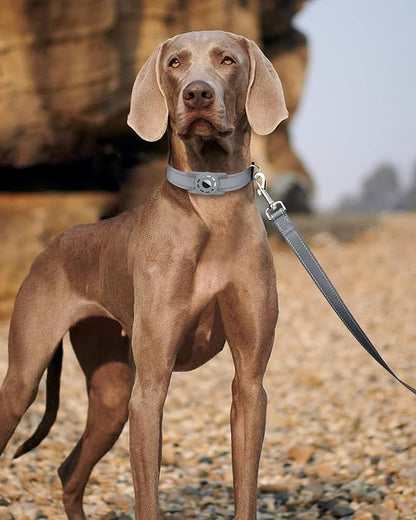 Reflective Dog Leash 4ft Soft Padded Handle Nylon Lead for Small & Medium Dogs, Durable Walking Training Leash for Night Safety (Gray,1Inch Wide)