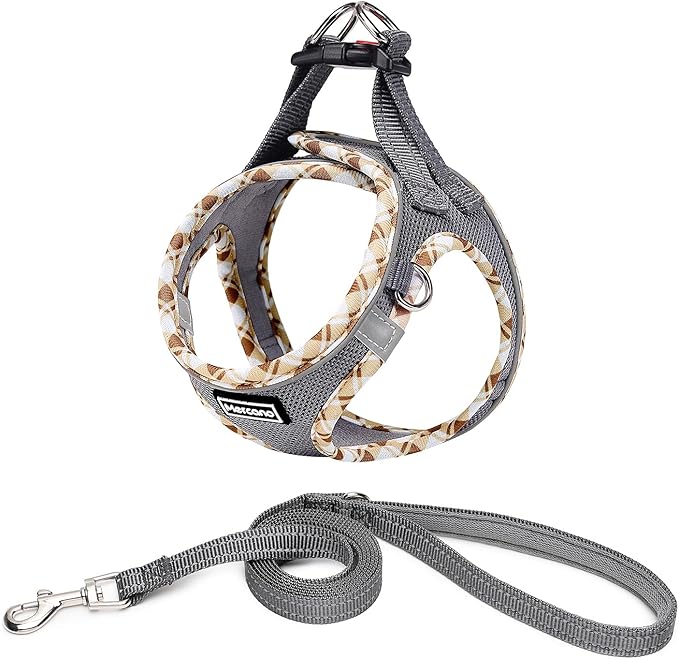 Mercano Soft Mesh Dog Harness and Leash Set, No-Chock Step-in Reflective Breathable Lightweight Easy Walk Vest Harnesses with Safety Buckle for Small Dogs, Cats (Grey, S)