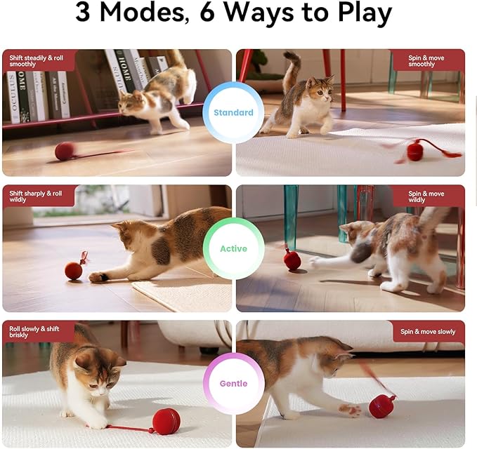 Cheerble 2 in 1 Interactive Cat Toys for Indoor Cats - Wicked Ball Duo2 Automatic Cat Toy, Dual Interchangeable Shells, Electric Moving Cat Ball with Tail & Chirping Sounds, Red
