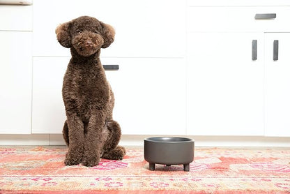 Waggo Uplift Ceramic Dog Bowl for Small Medium and Large Breeds - Heavyweight and Durable Pet Food and Water Dish Crock, Dishwasher Safe, Modern, Elevated Feeder (Medium, White)