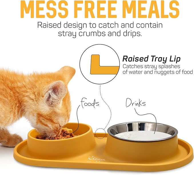 Pets Anti-Skid Dog Bowl Set - Removable Double Slow Feeder With Non-Skid Silicone Mat - Stainless Steel Water Bowl for Cats & Pets (Yellow)