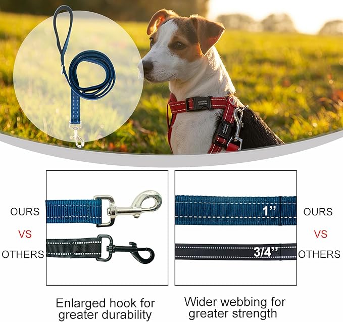 Dual Padded Handle Standard Dog Leashes with Reflective Stitching,360° Rotatable Heavy Duty Metal Buckle,D-Ring,Durable Nylon,for Medium Sized Dogs from 20 to 60 Pounds Walking and Training Blue 5Ft