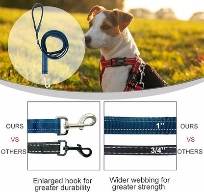Dual Padded Handle Standard Dog Leashes with Reflective Stitching,360° Rotatable Heavy Duty Metal Buckle,D-Ring,Durable Nylon,for Medium Sized Dogs from 20 to 60 Pounds Walking and Training Blue 5Ft