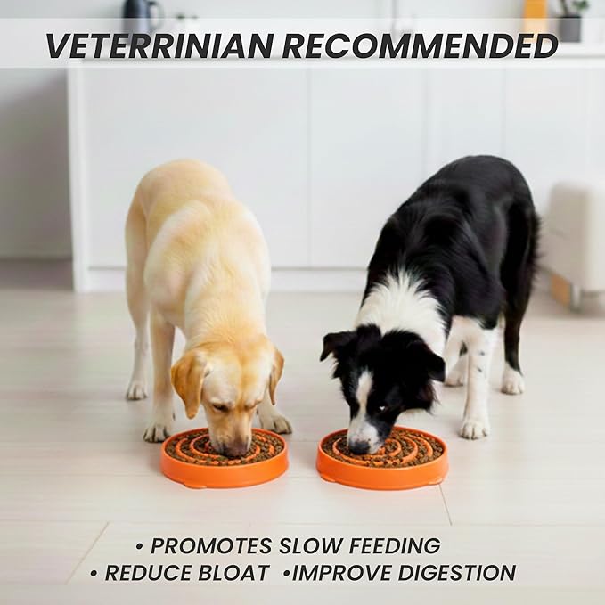 Slow Feeder Dog Bowl for Small, Medium & Large Dogs – Anti-Gulping Puzzle Maze Bowl, Non-Slip Slow Eating Dog Dish, Prevents Bloat & Improves Digestion, Interactive Pet Feeder (Orange, Large)