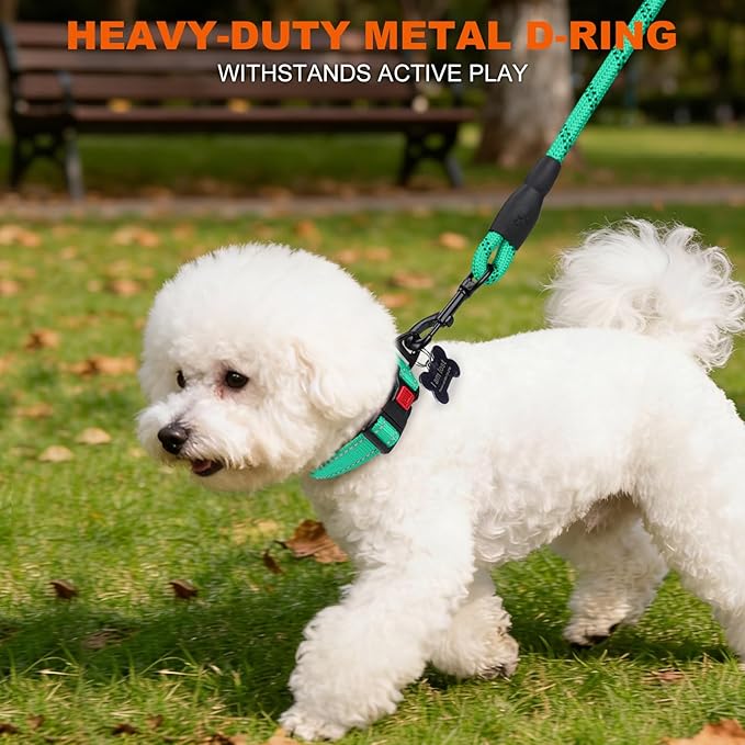 Taglory Reflective Dog Collar with Safety Locking Buckle, Soft Neoprene Padded Dog Collar for Small Dogs, Metal D-Ring, Adjustable Nylon Neck Strap for Daily Walking, Training & Running, Turquoise, S