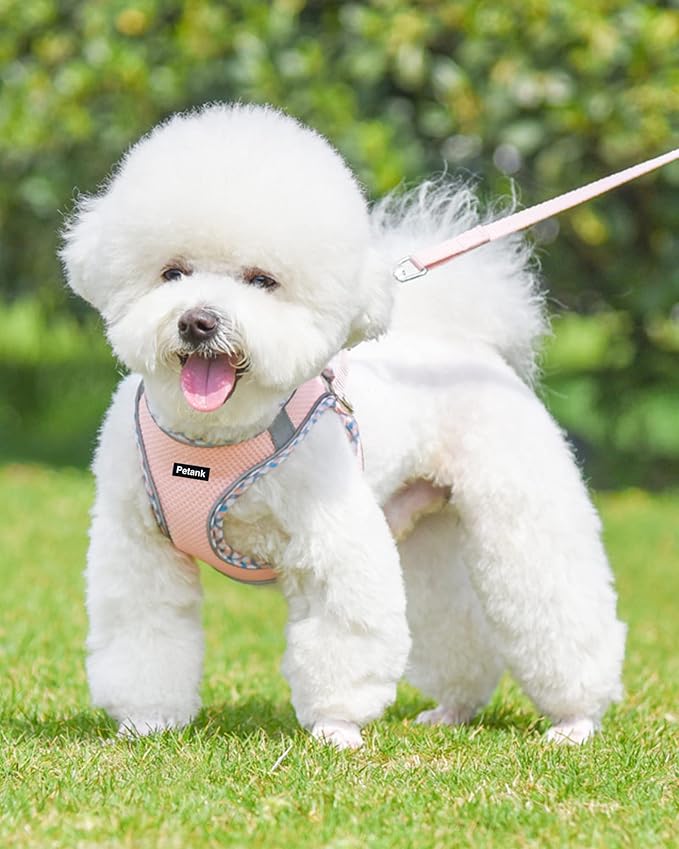 Petank Dog Harness for Small Medium Dogs No Pull, Puppy Harness and Leash Set, Step in Dog Harness for Walking, Running, Training, Small Dog Vest (Pink, XXS)