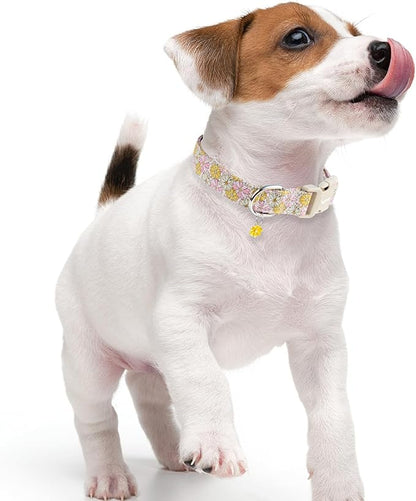 Faygarsle Floral Girl Dog Collar, Cotton Fabric with Daisies Pattern, Pink and Yellow Summer Spring Design for Small Medium Large Dogs XS