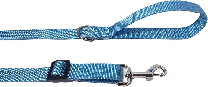 6FT/ 10FT Adjustable Dog Leash, Nylon Dog Leashes for Medium Large Dogs (10FT, Sky Blue)