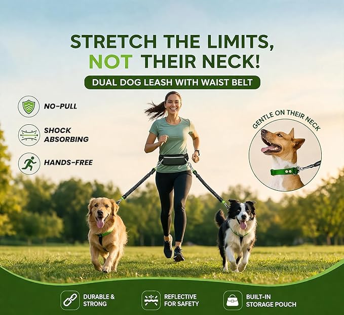 𝐇𝐞𝐚𝐯𝐲 𝐃𝐮𝐭𝐲 Hands Free Dog Leash for 2 Dogs – Dual Bungee Running Leash with Adjustable Waist Belt, Tangle-Free 360° Swivel, Shock Absorbing, Padded Handles & Zipper Pouch