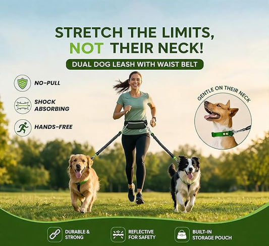 𝐇𝐞𝐚𝐯𝐲 𝐃𝐮𝐭𝐲 Hands Free Dog Leash for 2 Dogs – Dual Bungee Running Leash with Adjustable Waist Belt, Tangle-Free 360° Swivel, Shock Absorbing, Padded Handles & Zipper Pouch