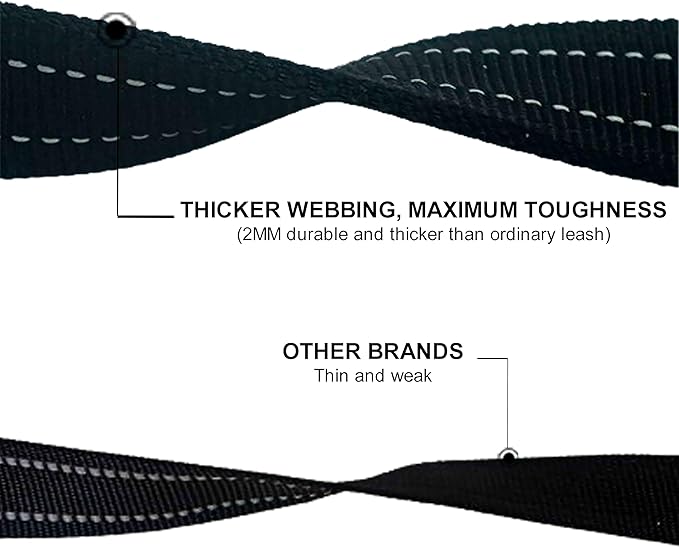 Dual Padded Handle Standard Dog Leashes with Reflective Stitching,360° Rotatable Heavy Duty Metal Buckle,D-Ring,Durable Nylon,for Medium Sized Dogs from 20 to 60 Pounds Walking and Training Black 5Ft