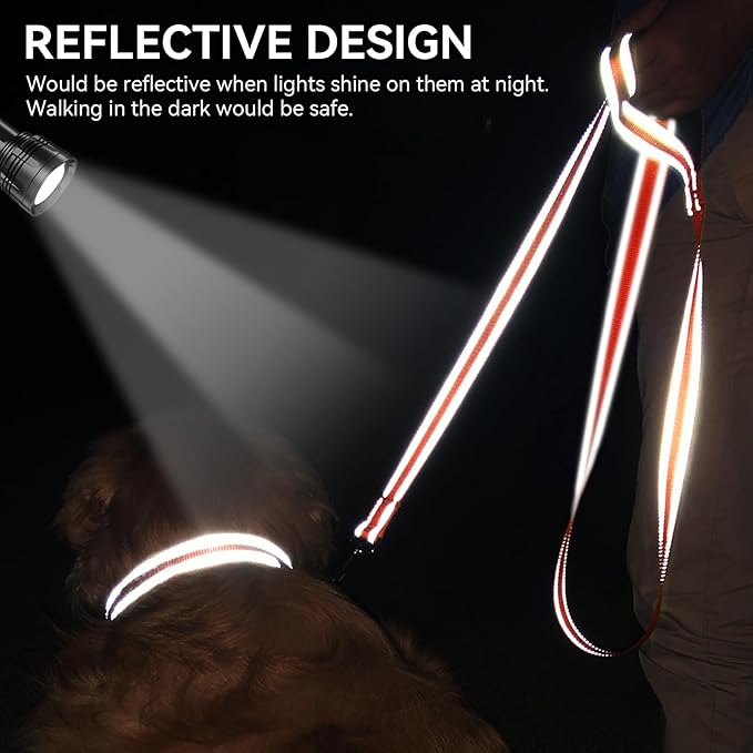 Joytale Dog Leash, 6 FT Double-Sided Reflective, Padded Handle Nylon Heavy Duty Leashes for Small Dogs Walking, Orange