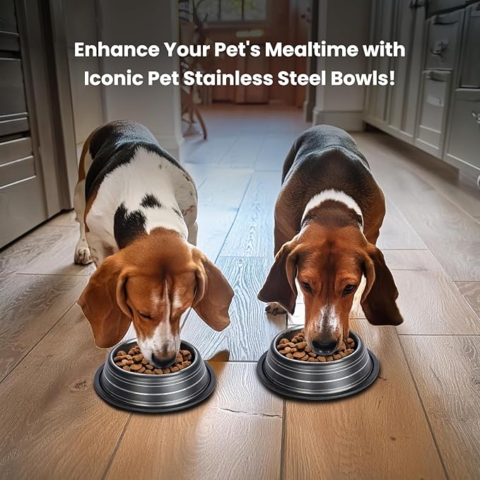 Iconic Pet 3 Cup/24 Oz Elegant Stainless Steel Color Splash Food/Water Bowl with Non Skid, Noise Free, Removable Rubber Ring - Dog/ Cat Feeding Bowl In color shade, Dishwasher Safe - Black, 2 Bowls
