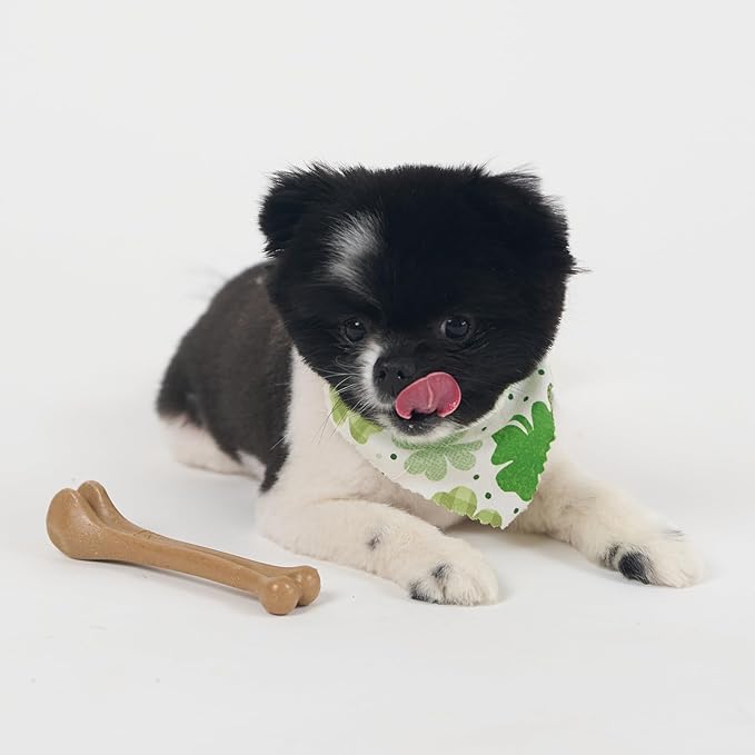 SPOT Bam-Bones Bone - Made with Strong Bamboo Fiber, Durable Long Lasting Dog Chew for Light to Moderate Chewers, Great Toy for Adult Dogs & Teething Puppies under 25lbs, 5.75in, Chicken Flavor