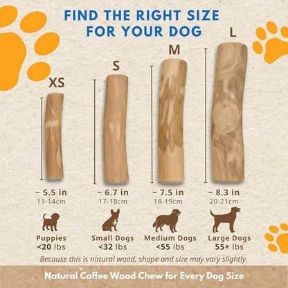 Coffee Wood Dog Chew Sticks Set of 3 for Puppies, Small Dogs, Teething Toys – Natural, Eco-Friendly & Long-Lasting Dog Chew Toy for Teeth Cleaning, Boredom & Stress Relief (XS - Under 20lbs)