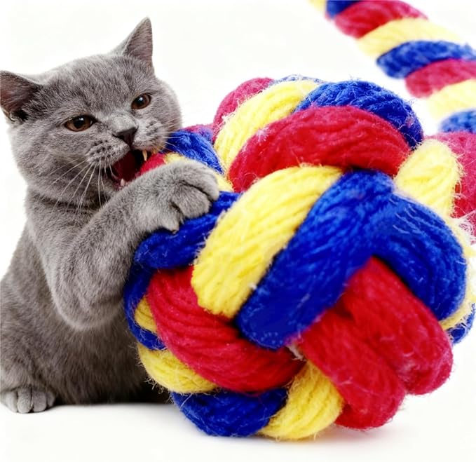 Interactive Cat Toy Ball with Bell, Moving Cat Toys Ball for Indoor Cats, Fast Rolling on Carpet, USB C Charging Automatic Kitten Toys for Bored Cats