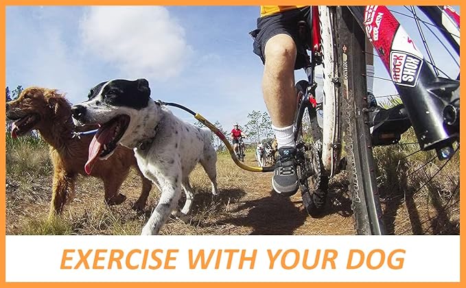 Bike Tow Leash Best Dog Bike Leash (Orange)