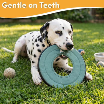 OllyDog Super Flyer Dog Flying Disc – Floating Fetch Toy for Water Play, Soft Eco-Friendly Recycled Fabric, Gentle on Teeth, 11" for Medium & Large Dogs (Surf, 11") - Image 3