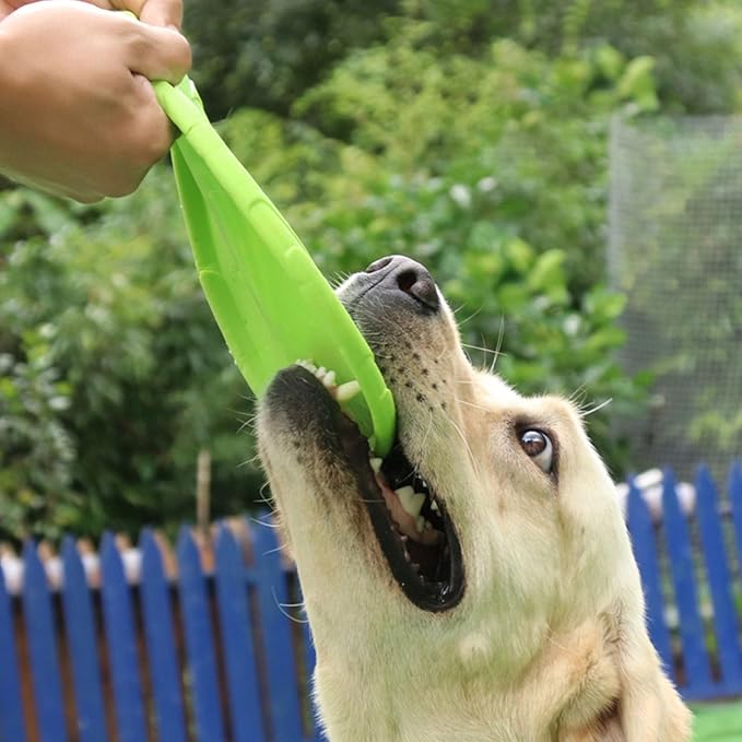 Nonslip Dog Flying Discs Chew Outdoor Toy Rubber Soft Training Exercise for Active Pet Outdoor Fetching Toy for Dog