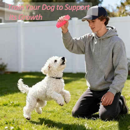 2 Pack Dog Chew Toys, Tough Puppy Teething Toys for Puppies, Soft Foaming Rubber Toys for Small Medium Breed Dogs, Pink
