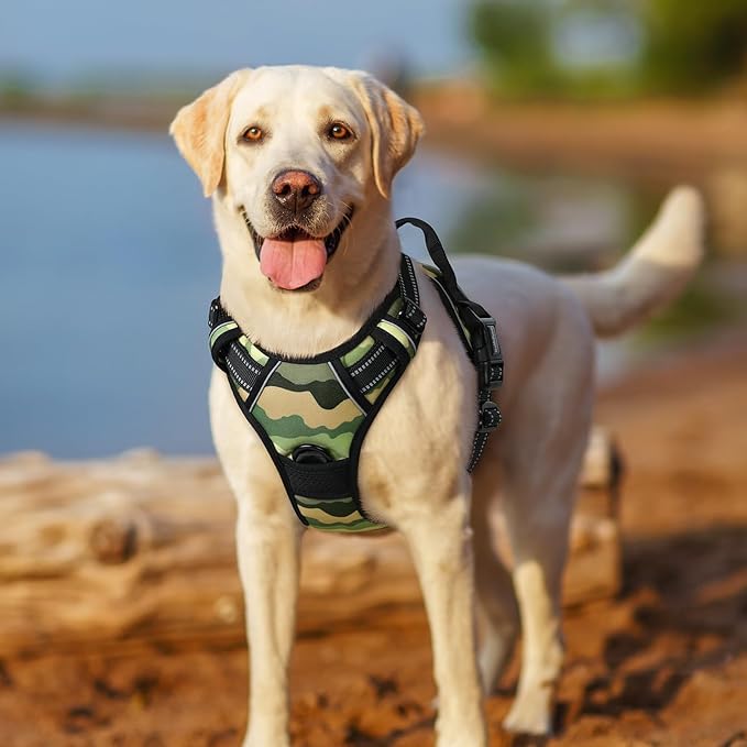 rabbitgoo Dog Harness No Pull with 2 Leash Clips, Adjustable Soft Padded, Reflective Oxford No Choke Pet Vest with Easy Control Handle for Large Dogs, Green Mountain, M