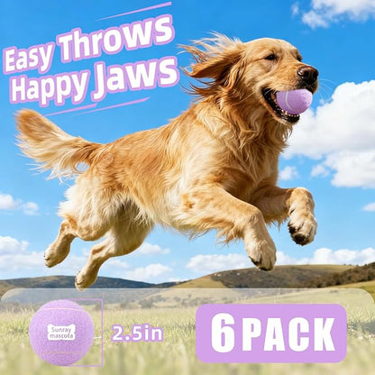 2.5" Dog Tennis Balls 6-Pack Silent Bounce, Tough Rubber Core, Durable Fetch & Training Toys for Indoor/Outdoor Play, for Small Medium Large Dogs (Light Purple, 6 Pack)