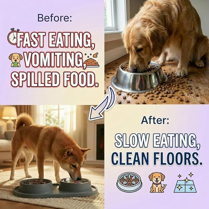 Slow Feeder Dog Bowls, 2-in-1 Dog Slow Feeder Bowl with Stainless Steel Water Bowl, Anti-Slip Non-Spill Puzzle Feeder for Dogs Cats, Bloat Prevention Set for Puppies & Large Breeds