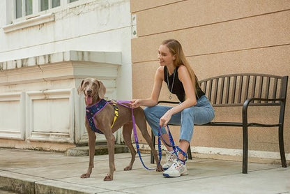 Hands Free Dog Leash Versatile Adjustable Shock Absorbing Personalized Dog Leash for Dog Walking Running (Starry Night)