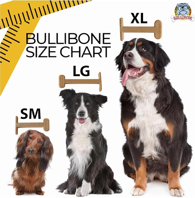 Bullibone Nylon Dog Chew Toy for Aggressive Chewers - Dental Hygiene Bone with Beef Flavor, Durable Tough Chew Toys for Large Dogs, Indestructible Dog Bone - 2 Pack