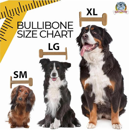Bullibone Nylon Dog Chew Toy for Aggressive Chewers - Dental Hygiene Bone with Peanut Butter Flavor, Durable Tough Chew Toys for Large Dogs, Indestructible Dog Bone - 2 Pack