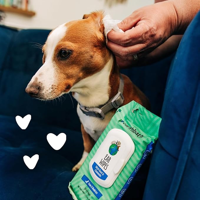 earthbath, Dog Ear Wipes - Gentle Dog Ear Cleaner, Best Pet Wipes for Dogs & Cats, Made in USA, Cruelty-Free Dog Wipes, Keep Your Pet's Ears Naturally Clear & Infection Free - 30 Count (2 Pack)