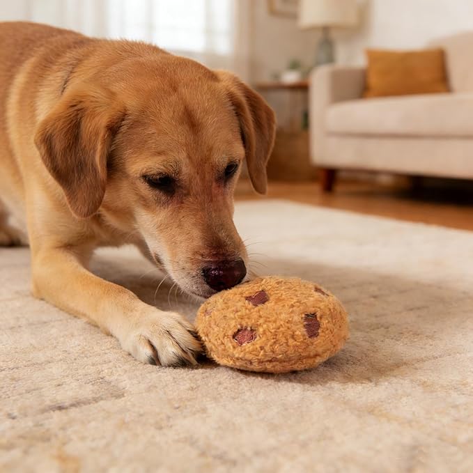 Dog Cookies Toys, Plush Chew Squeaky Toy for Small & Medium Dogs, Funny Dogs Gifts Dog Party Toys