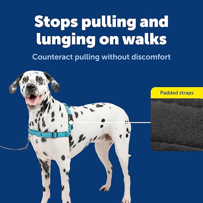 PetSafe Deluxe Easy Walk Harness - Trainer-Trusted Dog Chest Harness with Breathable Martingale Loop Design - Helps Stop Pulling with No Choking & Gagging - Large - Ocean