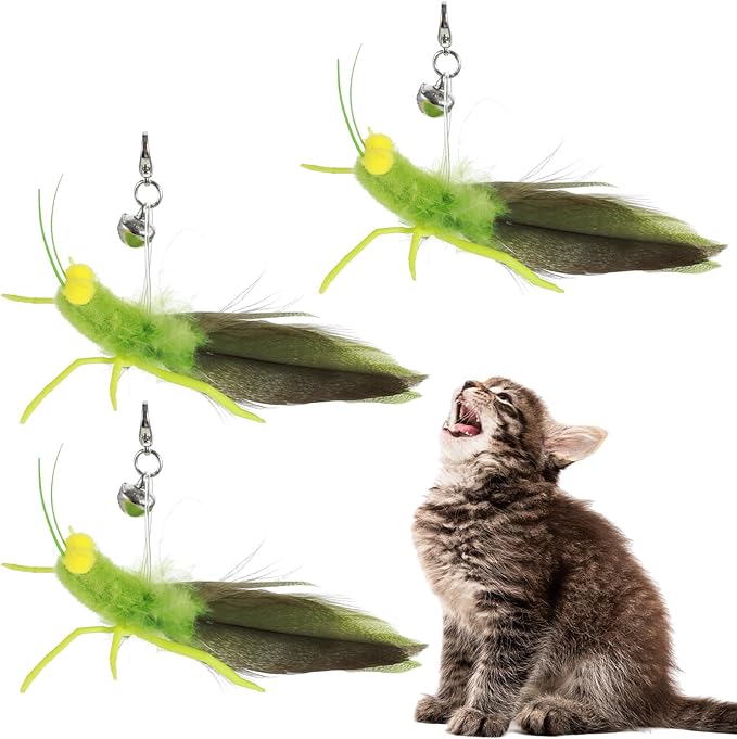 Cat Feather Toys Refills 3 Pack Insects Grasshopper Cat Toy Wand Fun Replacement Feathers Small Cats Interactive Toys Hanging Toy Attachments for Indoor Kittens Cats Teaser Wand Accessory