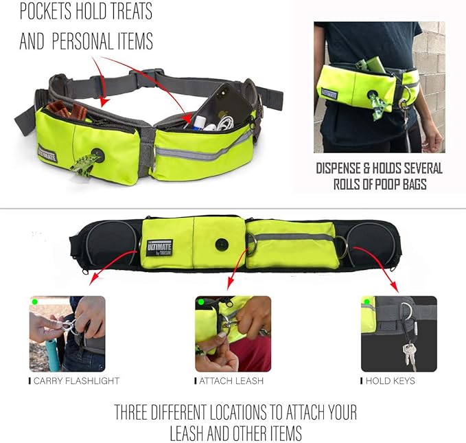 TAKSIN The Ultimate Hands Free Dog Leash for Walking Running Hiking Training, Reflective Bungee Leash, Treat Holder, Poop Bag Dispenser for Small Medium Large Dogs (Yellow Deluxe Pack)