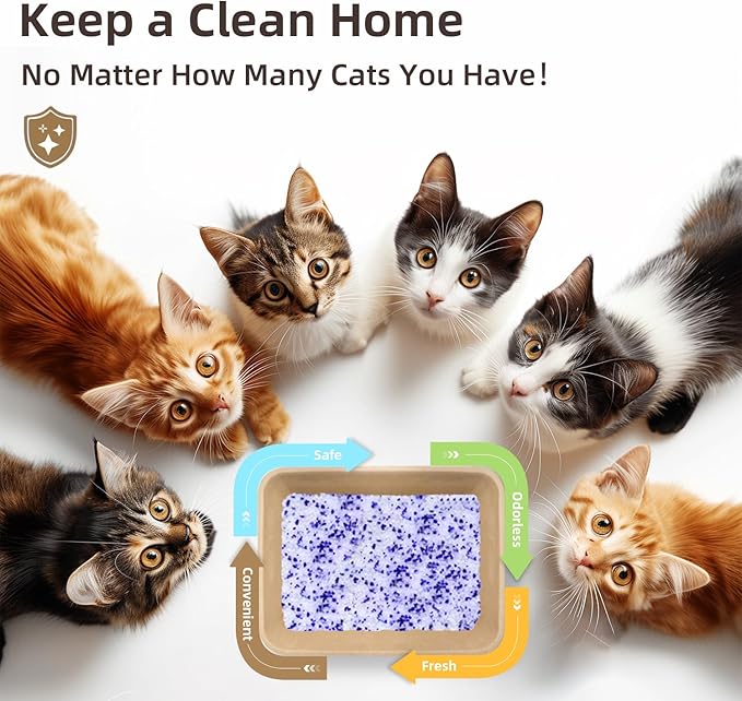 LaSyL Crystal Cat Litter for Multi-Cat Households - 8.6 lb Silica Gel, 30-Day Odor Control, 99.9% Dust-Free Non-Clumping Low Tracking Lightweight Unscented Formula (2 Bags x 4.3lb)