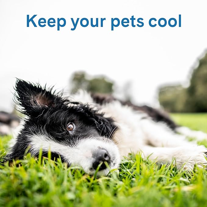 The Green Pet Shop Cool Pet Pad - Extra Small, Disney’s Mickey & Minnie Mouse - Self-Cooling, Pressure Activated Mat for Dogs & Cats from 0-8 lbs - Non-Toxic Gel, No Water Needed