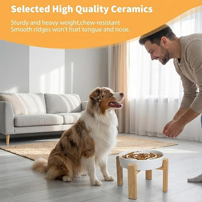 Elevated Slow Feeder Dog Bowl - Upgraded with Screwed Bamboo Stand - Ceramic Maze Dish for Fast Eaters - Raised Feeding Bowl for Medium and Large Dogs - White