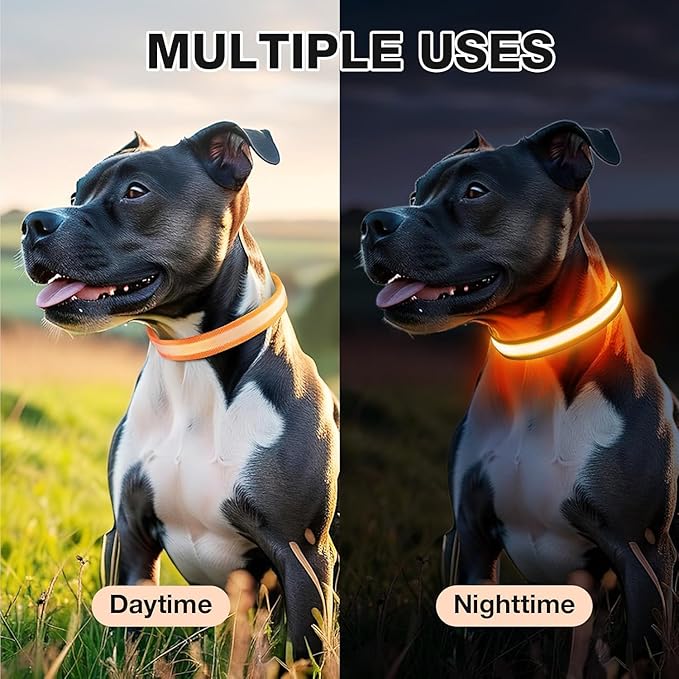 PcEoTllar Light up Dog Collar for Night Walking - LED Dog Collar Light Rechargeable Color Changing, Glow in the Dark Dog Collars Waterproof Glowing Dog Collars for Large Small Medium Dogs