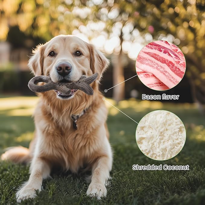 Gardner Pet 2-Pack Dog Chew Toy, Long Lasting Interactive Dog Toys Add Shredded Coconut Nylon+TPR, Teeth Cleaning and Training Toy for Medium/Large Breed,Bacon Flavor(Antler-L+Bone-L)