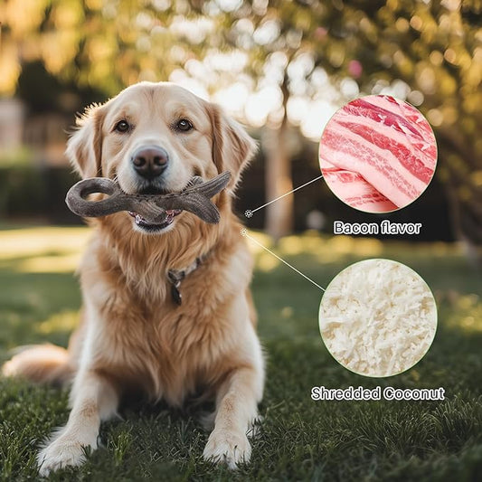 Gardner Pet 2-Pack Dog Chew Toy, Long Lasting Interactive Dog Toys Add Shredded Coconut Nylon+TPR, Teeth Cleaning and Training Toy for Medium/Large Breed,Bacon Flavor(Antler-L+Bone-L)