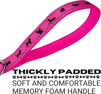 EcoBark Dog Leash - Soft & Reflective Comfort Training Leashes with Padded Handle - Safe, Strong, & Durable for Small, Medium or Large Dogs (Pink)