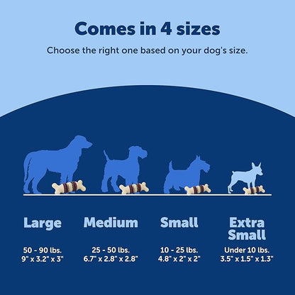 PetSafe Busy Buddy Bristle Bone - Durable Dog Chew Toy with Bristles & Rubber Nubs for Dental Health - Treat-Dispensing Toothbrush Toy for Hard Chewers - Dog Enrichment Supplies