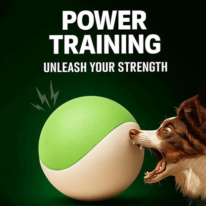 Squeaky Dog Toy – Durable Rubber Dog Ball for Medium & Large Dogs, Tough Interactive Fetch Toy for Chewers, Outdoor Training & Play Ball, Floating Water Play Gift.Green White