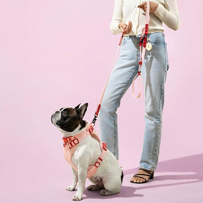 WLK1006G-5SET Luna Large 8FT Adjustable 6-in-1 Waterproof Hands-Free Leash and Collar with LED Flashlight, Bag Dispenser, and Poop Bag Holder, Paloma