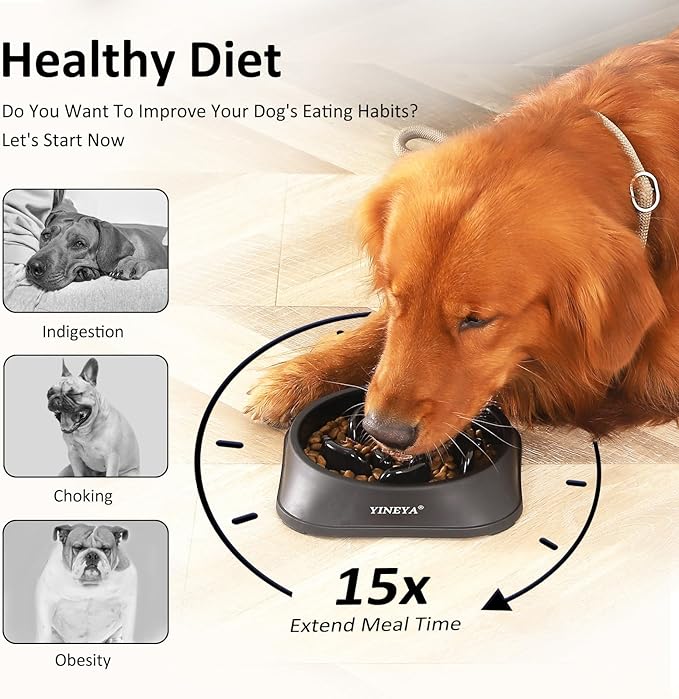 Slow Feeder Dog Bowls, Pet Supplies that Slow Down Eating, Pet Food Bowls, Maze Dog Puzzle Feeder for Medium Breed