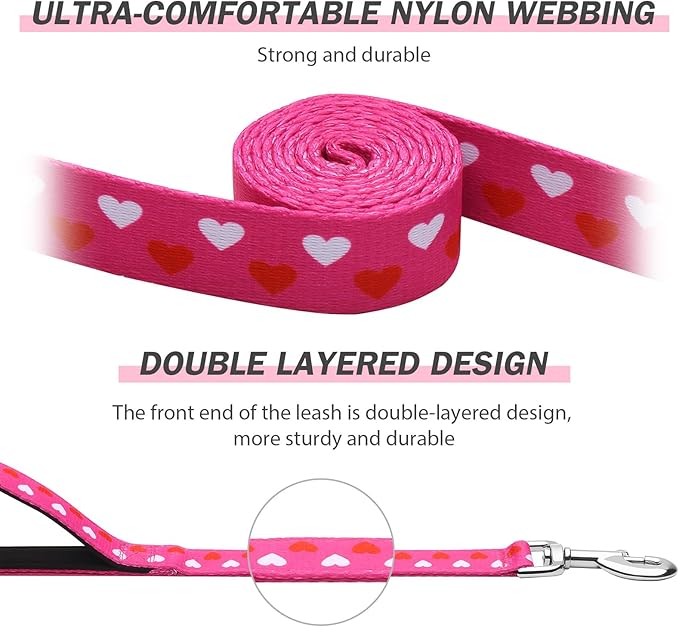 Hikiko Double Handle Dog Leash 6 Ft for Medium Large Dogs Padded Traffic Handles Lead for Walking Training (Pink Love)