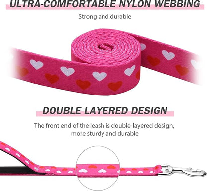 Hikiko Double Handle Dog Leash 6 Ft for Medium Large Dogs Padded Traffic Handles Lead for Walking Training (Pink Love)